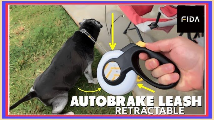 Performance and Ease of Use