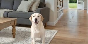 PureCozy Home Reviews