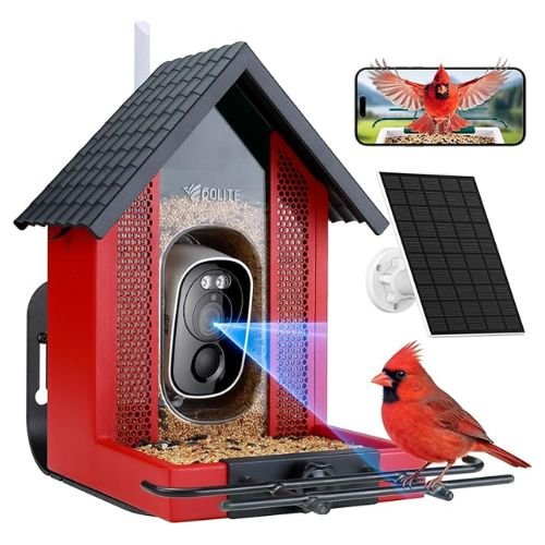 BOLITE Glass Hummingbird Feeder