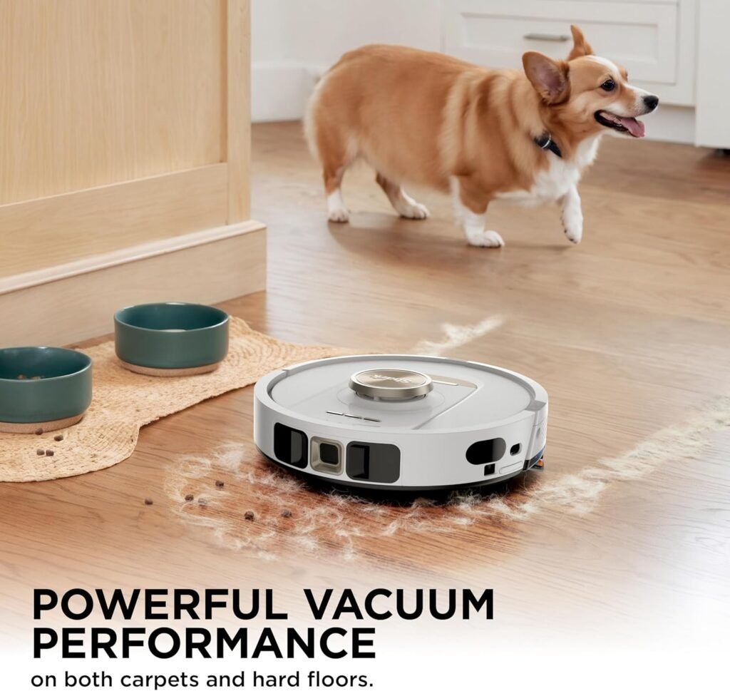 Vacuum and Mopping Performance