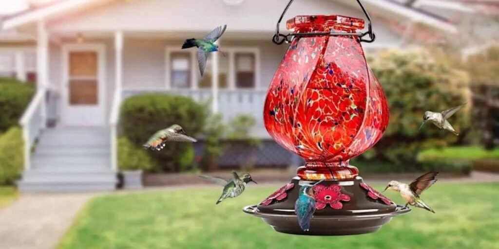 BOLITE Glass Hummingbird Feeder Review