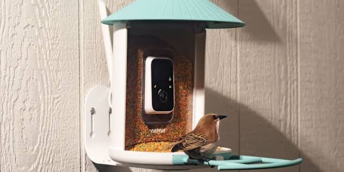 Birdfy Camera Review