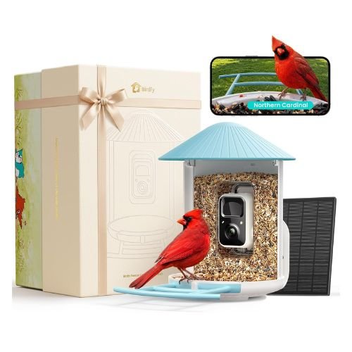 Birdfy