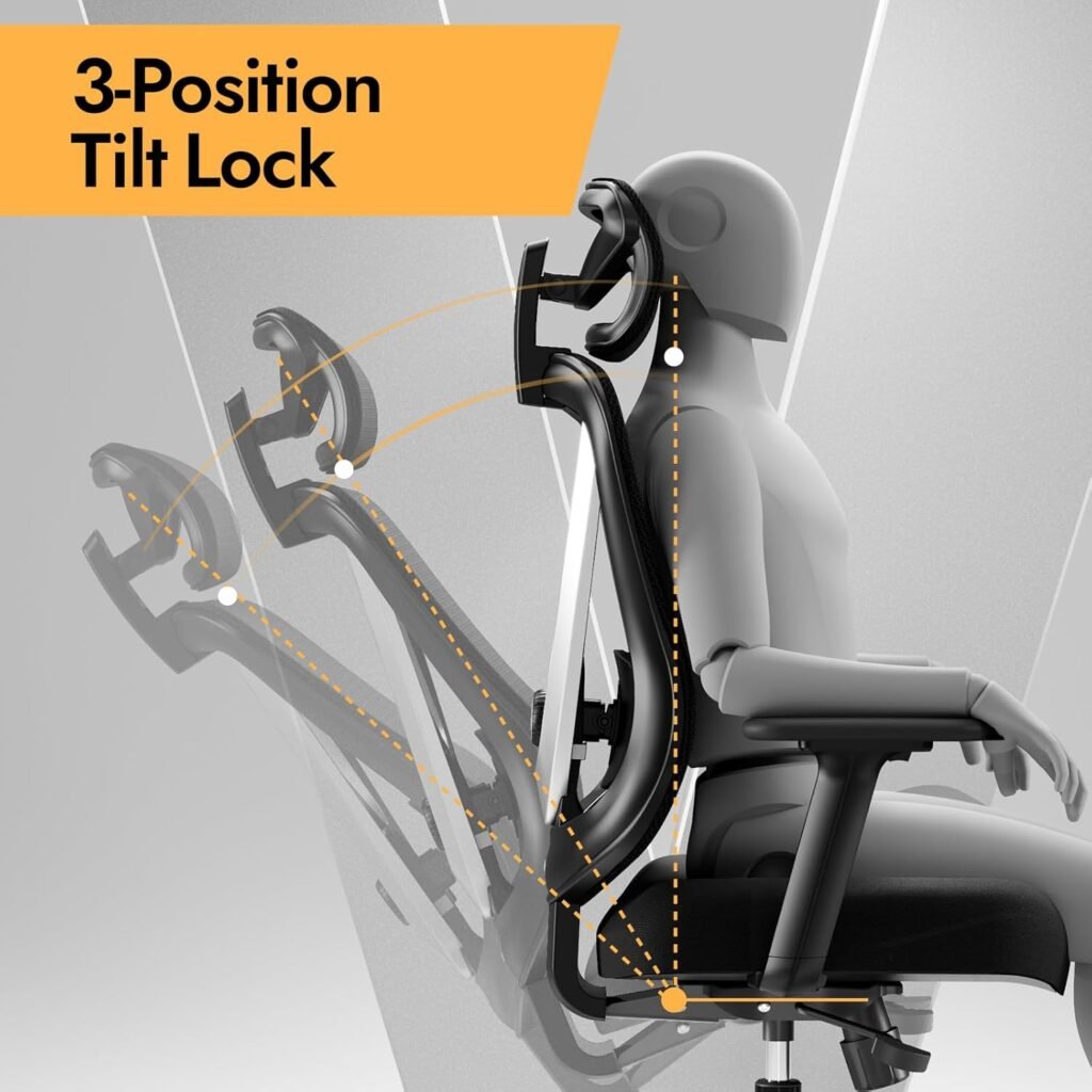 HOLLUDLE Ergonomic Chairs Adjustability Review