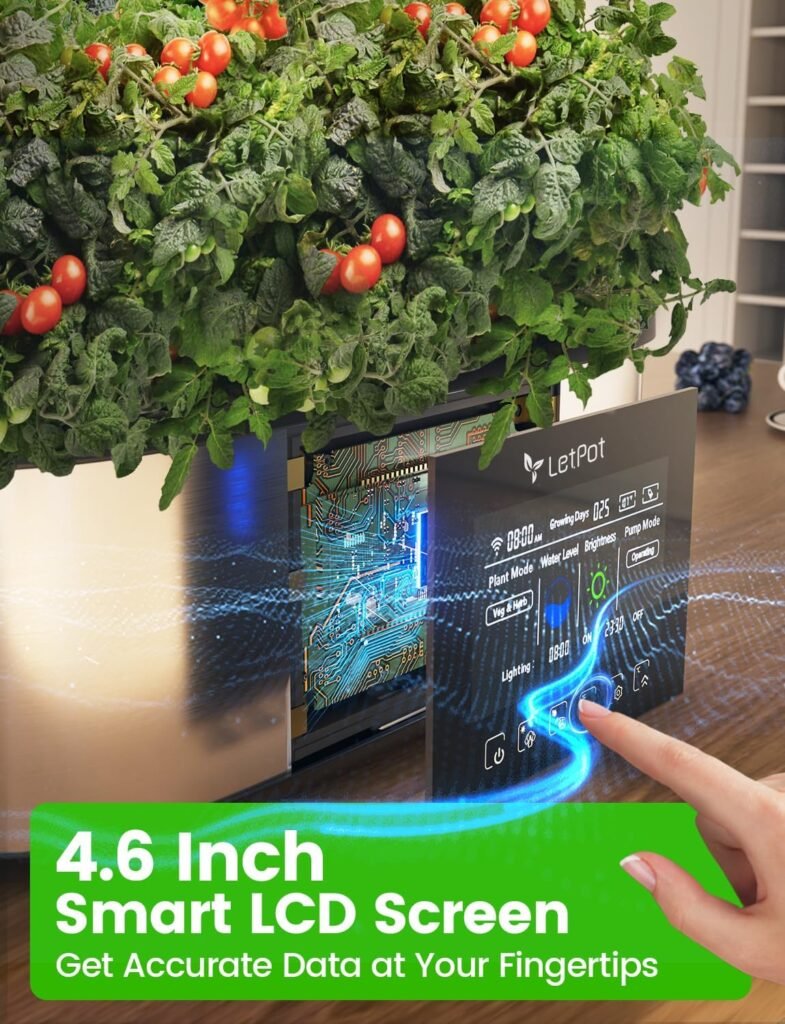 Long-Term Value