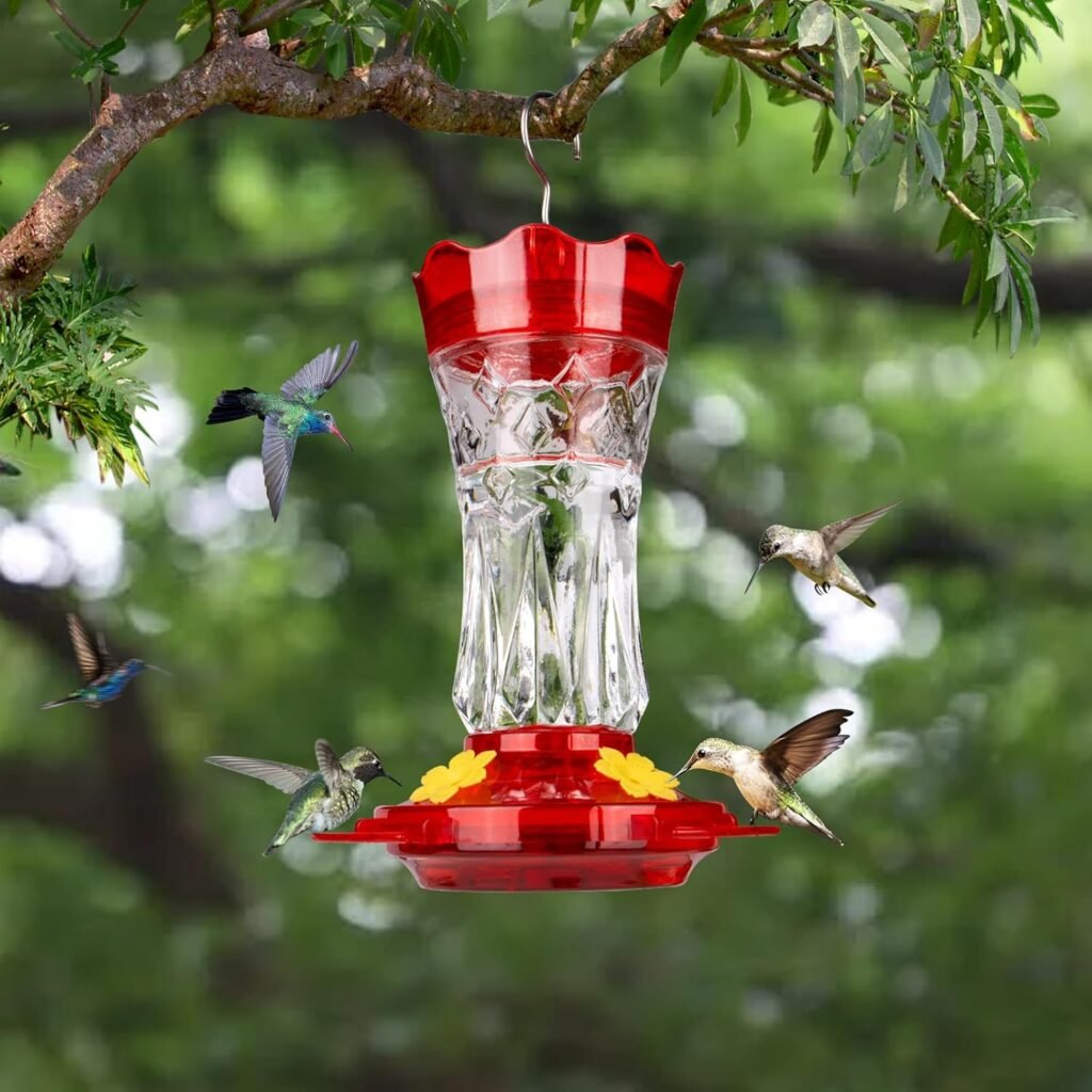 Who Should Buy the BOLITE Glass Hummingbird Feeder