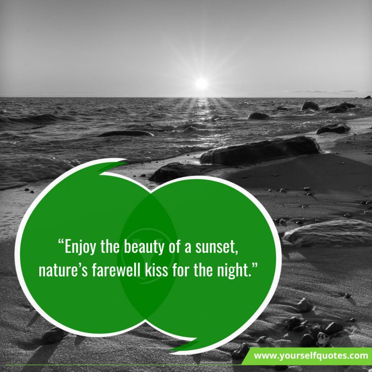 118 Best Sunset Quotes That Makes Your Life Beautiful