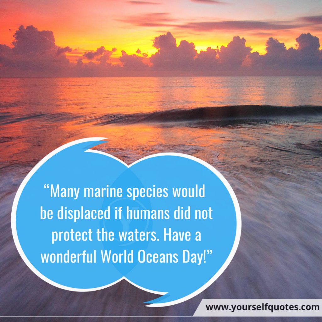 World Ocean Day Quotes, Wishes, Messages To Acknowledge Importance of