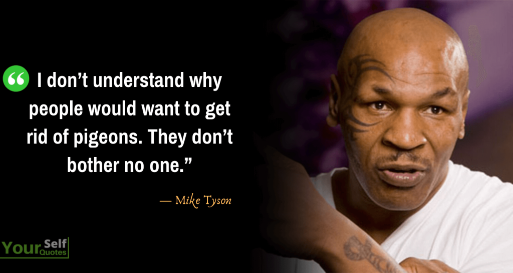 150 Mike Tyson Quotes That Will Make You A Great Champion