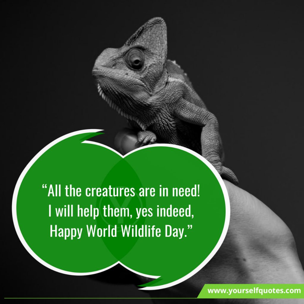 World Wildlife Day Quotes Wishes That Will Help Sustain All Life On Earth